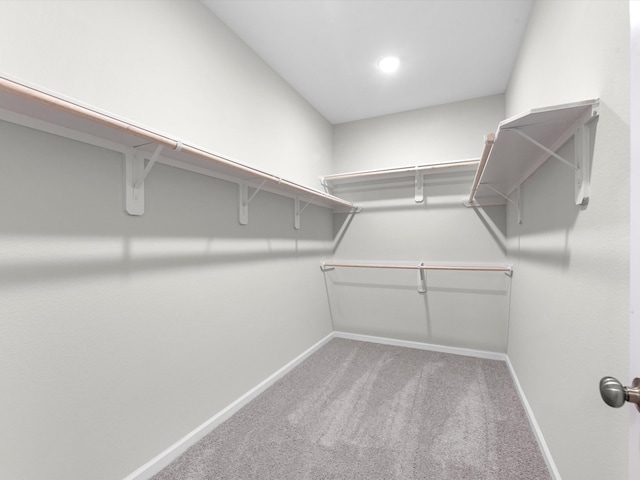 walk in closet with carpet