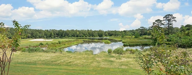 view of water feature