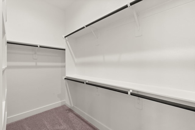 spacious closet featuring light carpet