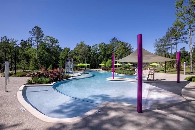 view of community featuring a patio and a pool