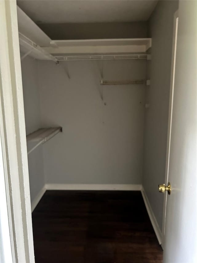 walk in closet featuring dark hardwood / wood-style flooring