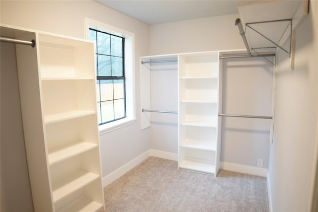 spacious closet with light colored carpet