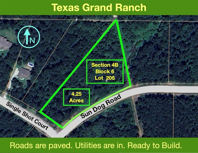 4B-6-205 Single Shot Ct, Huntsville TX, 77340 land for sale