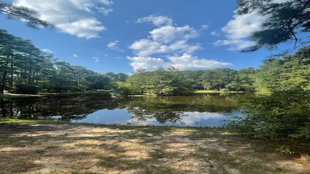 view of water feature