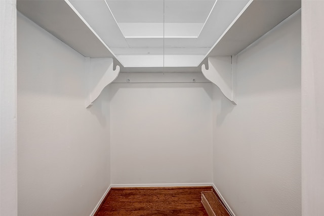 spacious closet featuring wood-type flooring