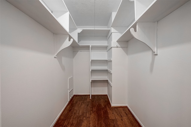 walk in closet with wood-type flooring