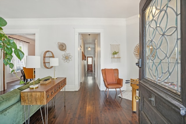 interior space featuring dark hardwood / wood-style flooring and ornamental molding