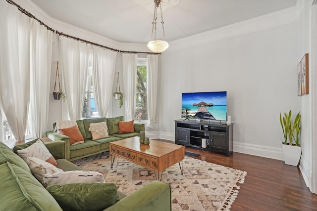 living area with baseboards, wood finished floors, and crown molding