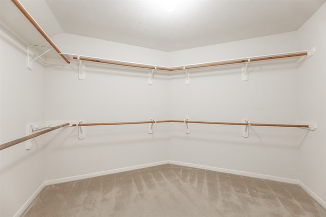 spacious closet with light colored carpet