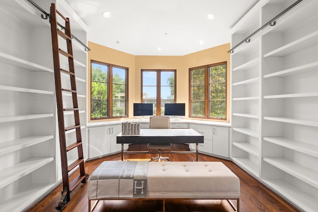 office with dark wood-type flooring