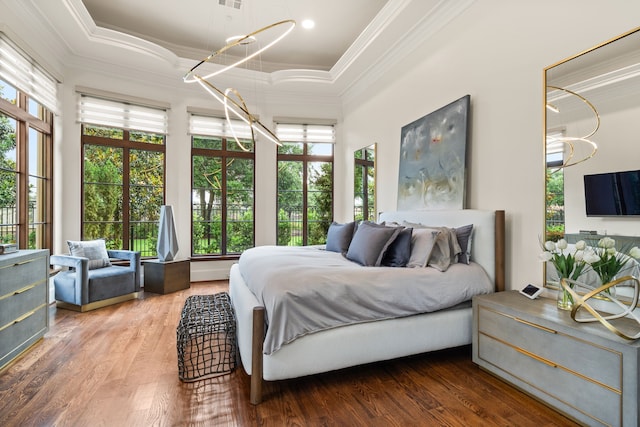 bedroom with a tray ceiling, multiple windows, and hardwood / wood-style floors