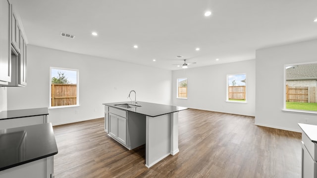 kitchen featuring a wealth of natural light, sink, ceiling fan, and hardwood / wood-style floors