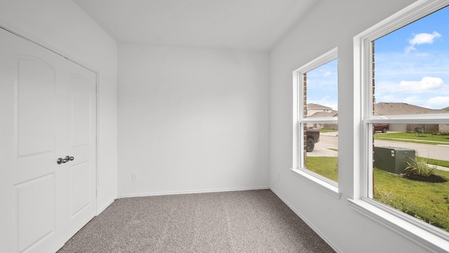 empty room featuring carpet and a wealth of natural light