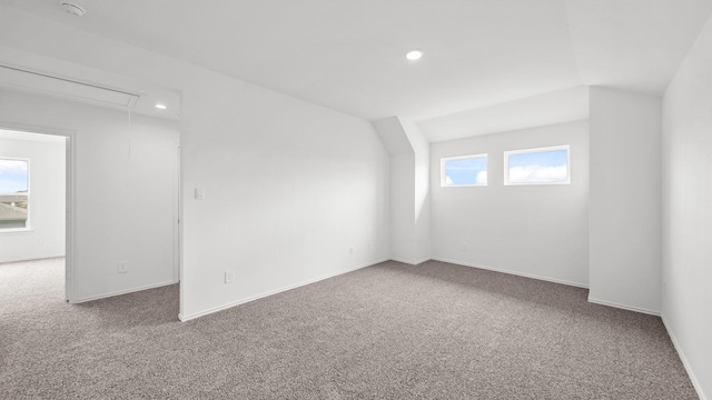 additional living space featuring carpet