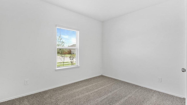 spare room with carpet floors