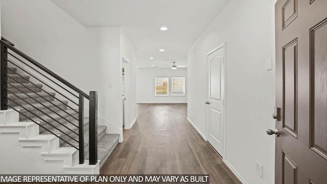 foyer with dark hardwood / wood-style floors and ceiling fan