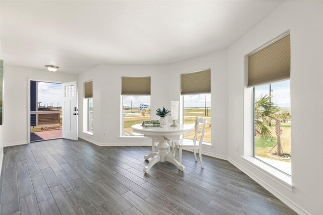 dining room featuring dark wood-type flooring