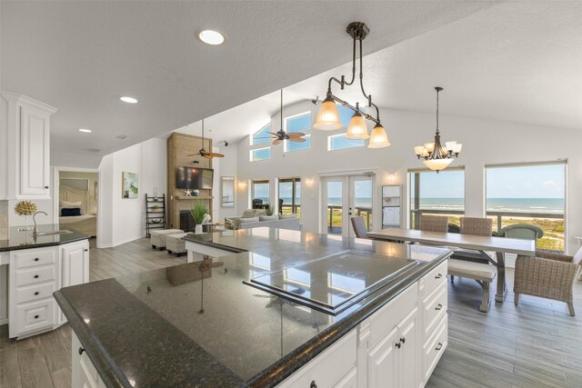 kitchen with white cabinets, a healthy amount of sunlight, a large fireplace, and dark hardwood / wood-style flooring