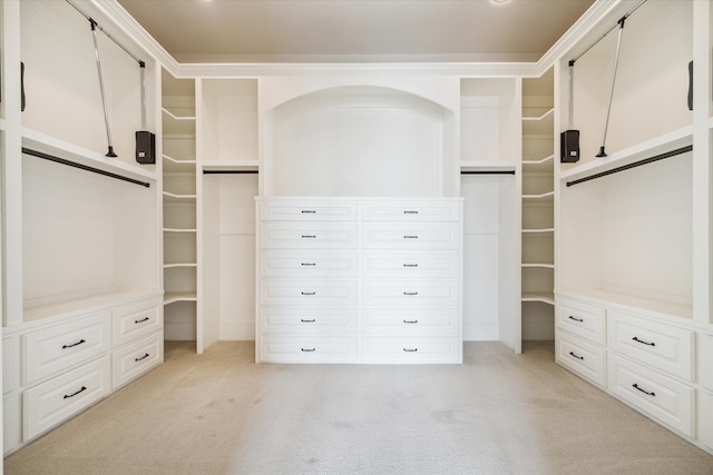 spacious closet featuring light carpet