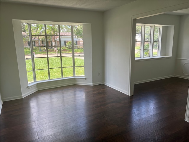 empty room with dark hardwood / wood-style floors and a wealth of natural light