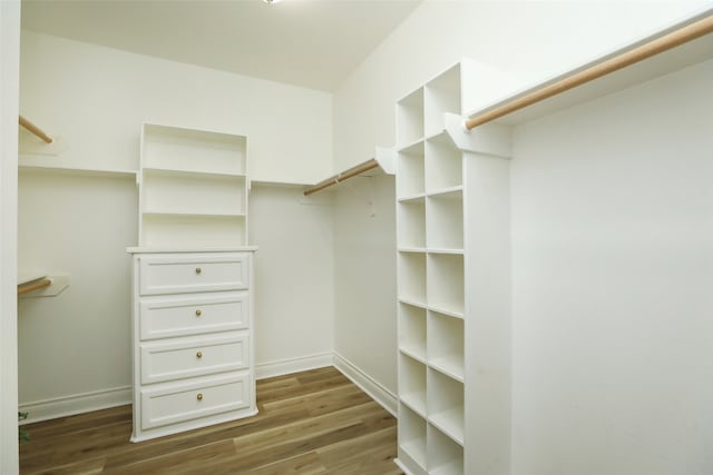 walk in closet featuring wood-type flooring