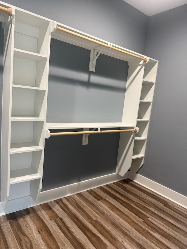 walk in closet featuring dark hardwood / wood-style flooring