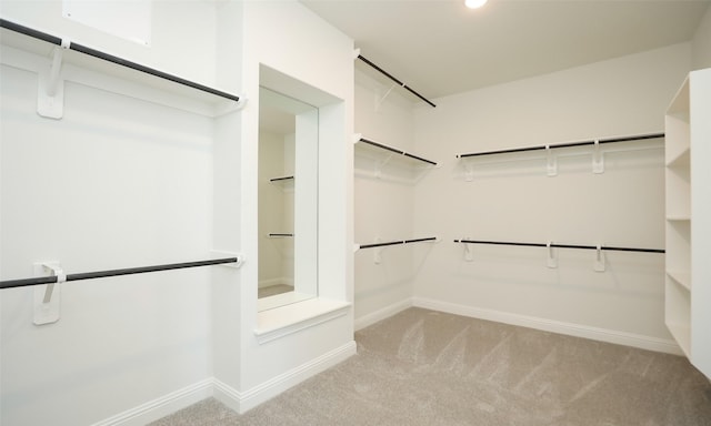 spacious closet featuring light colored carpet