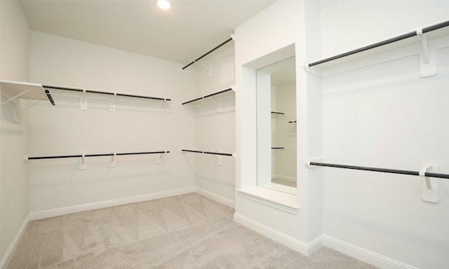 spacious closet with light carpet