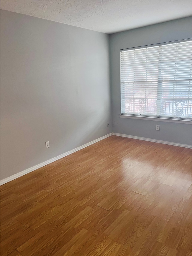 empty room featuring a textured ceiling and wood-type flooring