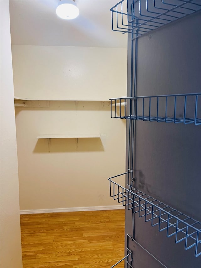 spacious closet featuring light wood-type flooring