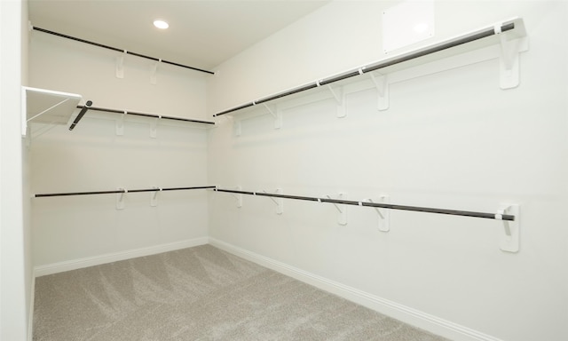 spacious closet featuring carpet