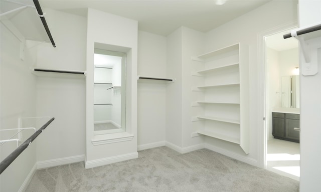 spacious closet featuring light colored carpet