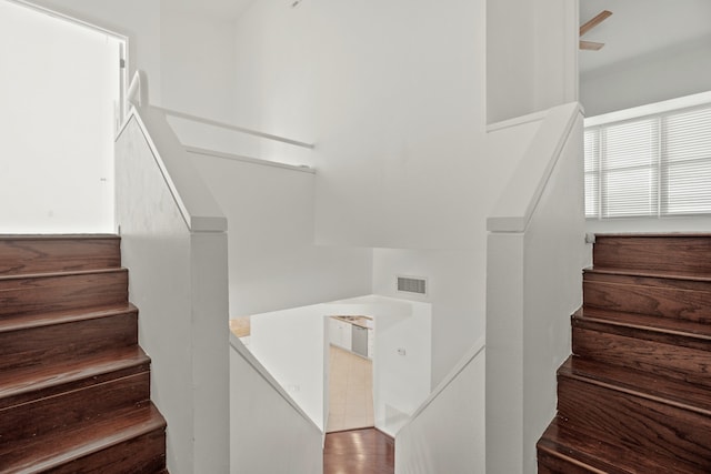 staircase with hardwood / wood-style flooring