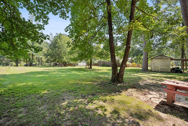 view of yard featuring a storage shed