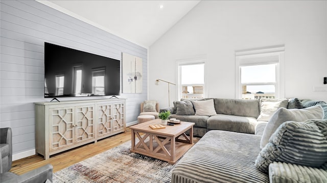 living room featuring high vaulted ceiling and light hardwood / wood-style floors