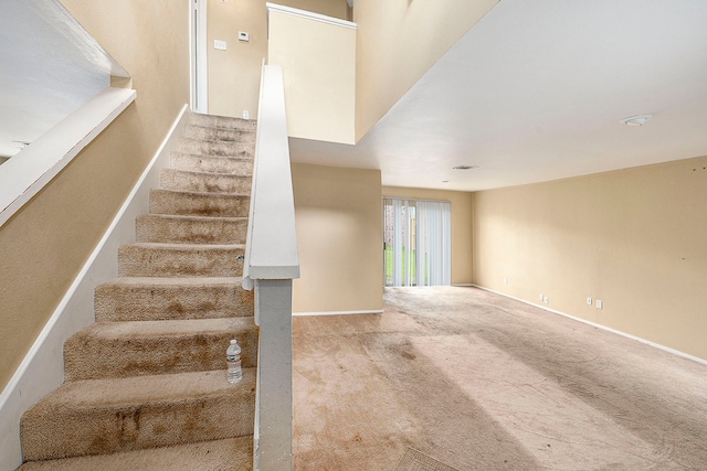 staircase featuring carpet flooring