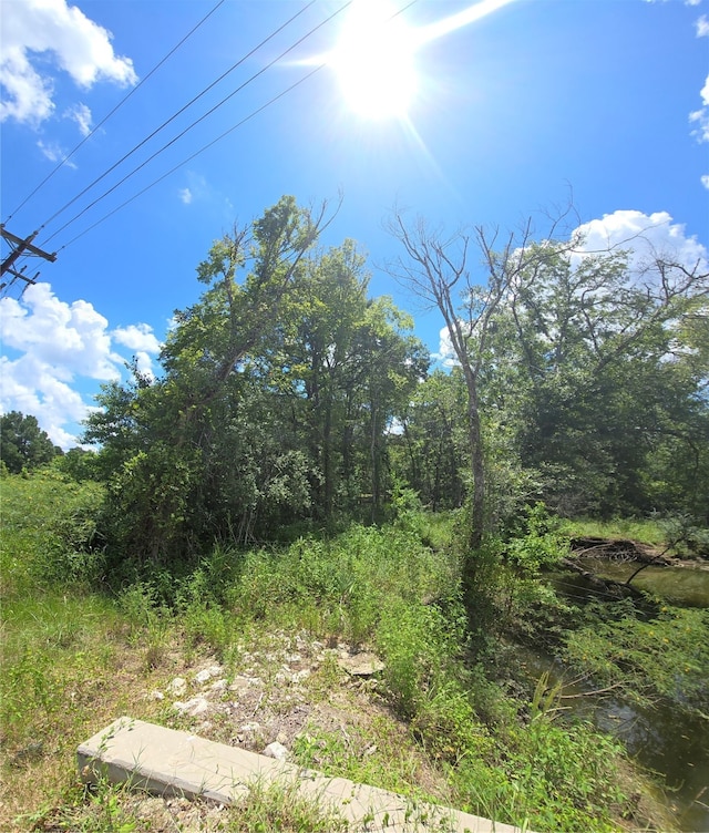 000 Spring Branch Rd, Montgomery TX, 77316 land for sale