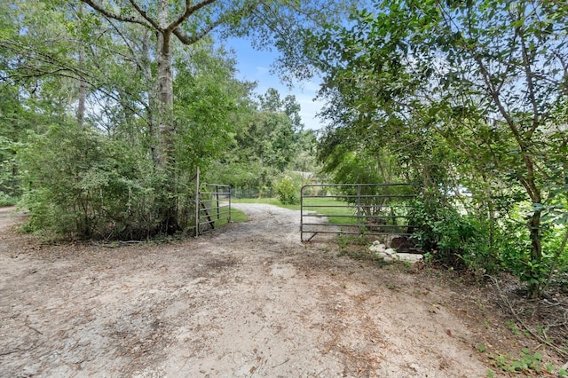 30470 Reids Prairie Rd, Waller, TX 77484 - view of street with a gate