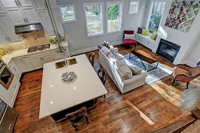 living room featuring sink and dark wood-type flooring