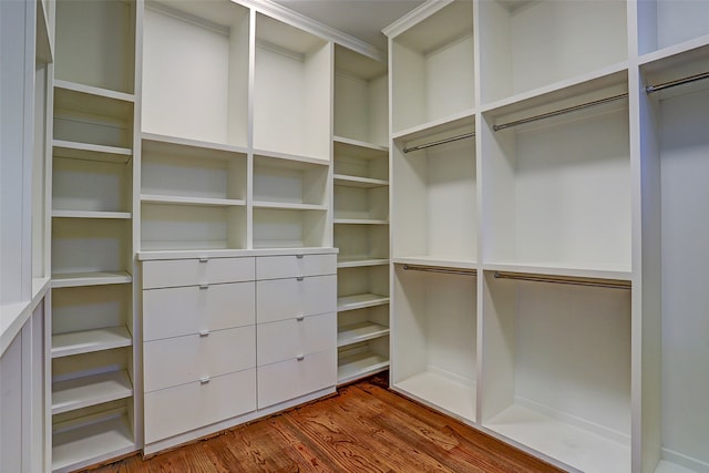 walk in closet featuring hardwood / wood-style floors