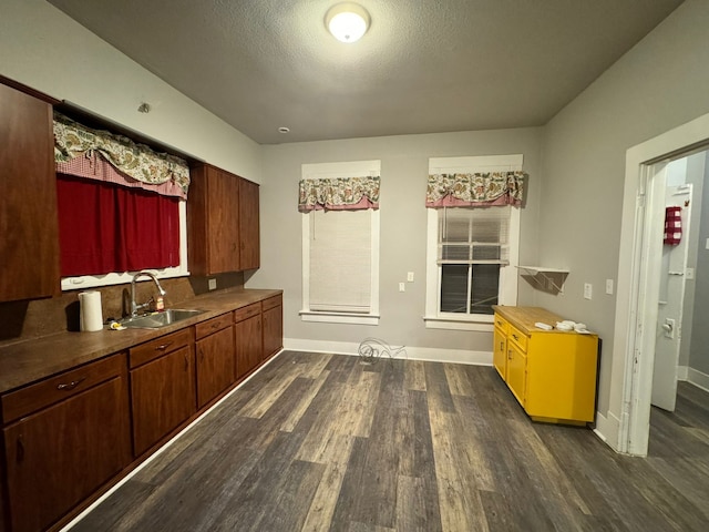 kitchen with sink and dark hardwood / wood-style flooring