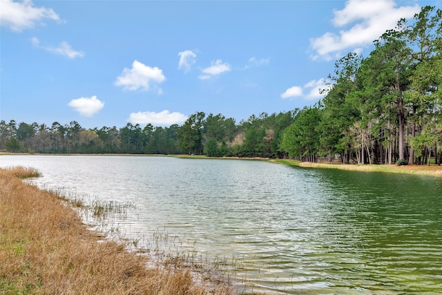 26500 Saddle Horn Dr, Waller TX, 77484 land for sale