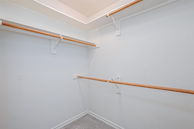 spacious closet featuring carpet floors