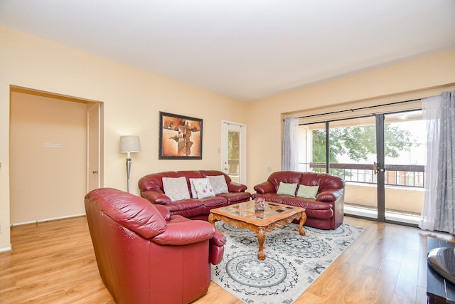 living room with wood-type flooring