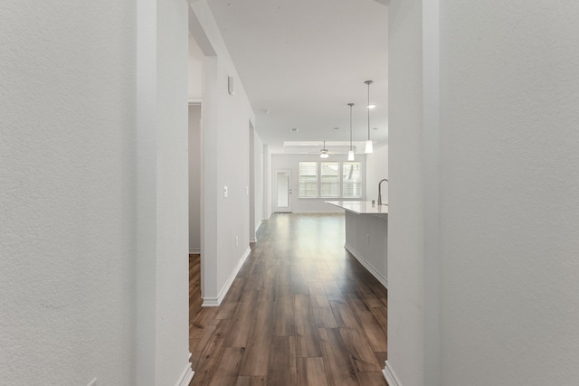 hallway featuring dark hardwood / wood-style flooring