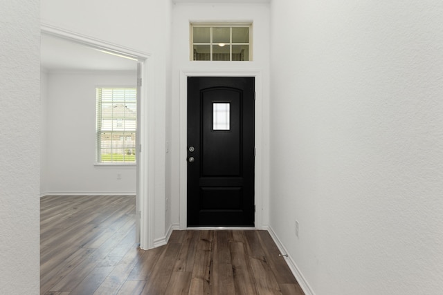 entrance foyer featuring dark wood-type flooring