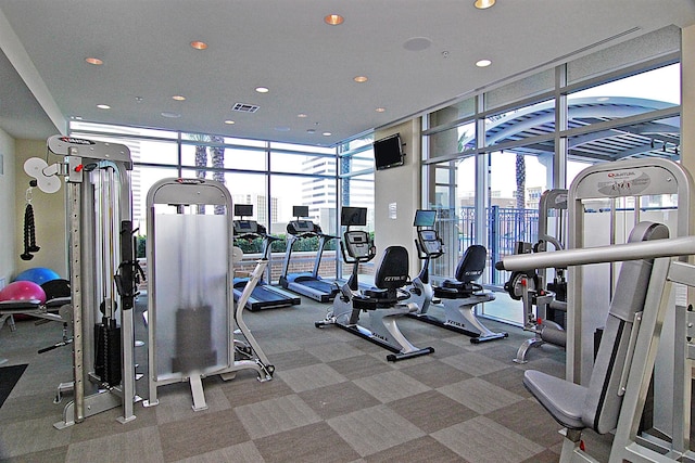 gym featuring carpet flooring, a wall of windows, and plenty of natural light