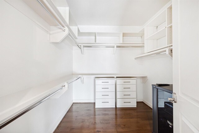 spacious closet with dark hardwood / wood-style flooring