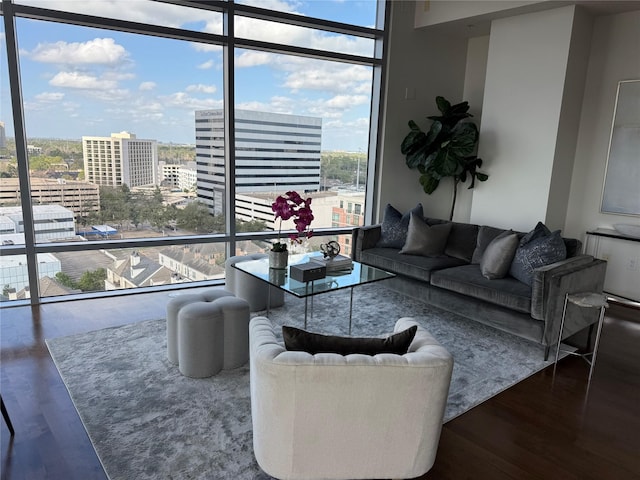 living room with a wealth of natural light, a view of city, expansive windows, and wood finished floors