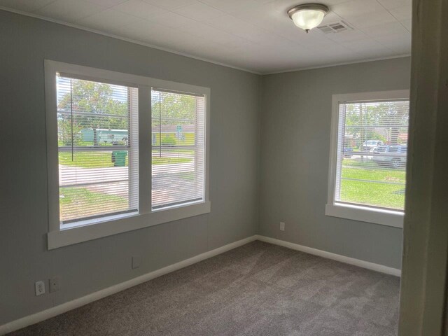 empty room featuring carpet